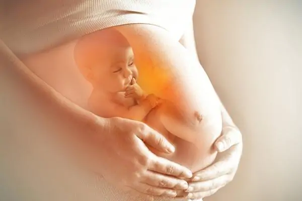 Cần chuẩn bị gì khi đi sinh: Hướng dẫn đầy đủ cho mẹ bầu sắp lâm bồn